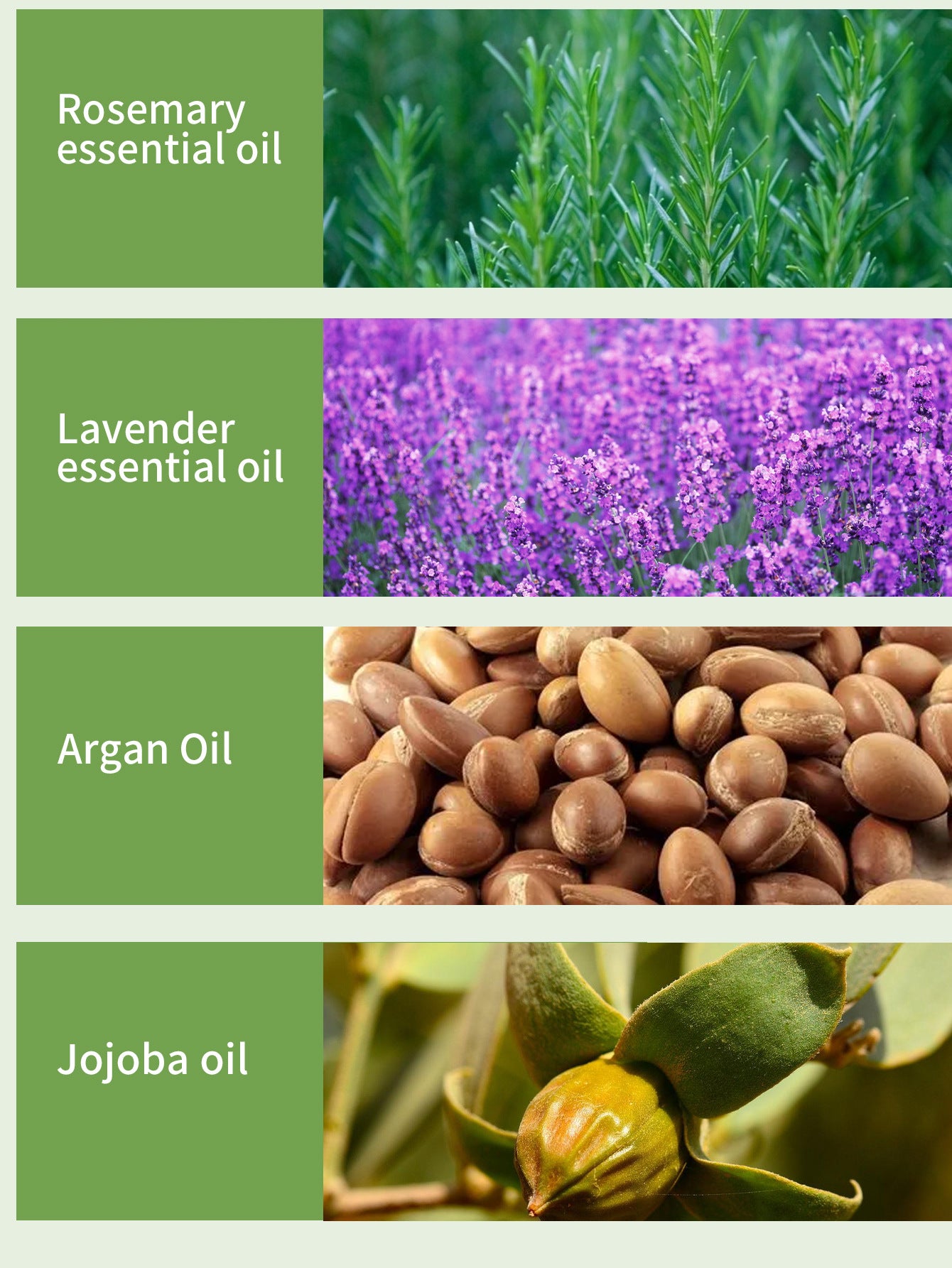 Natural Hair care essential Oil Strong hair roots Rosemary Oil for hair problem